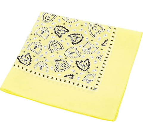 S&M bikes bandana